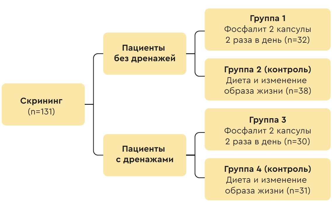 Распределение исследуемой популяции по группам